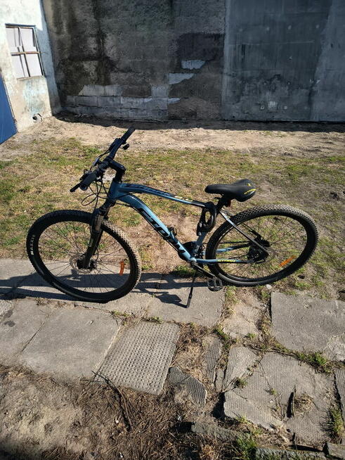 Rower shark 6.0