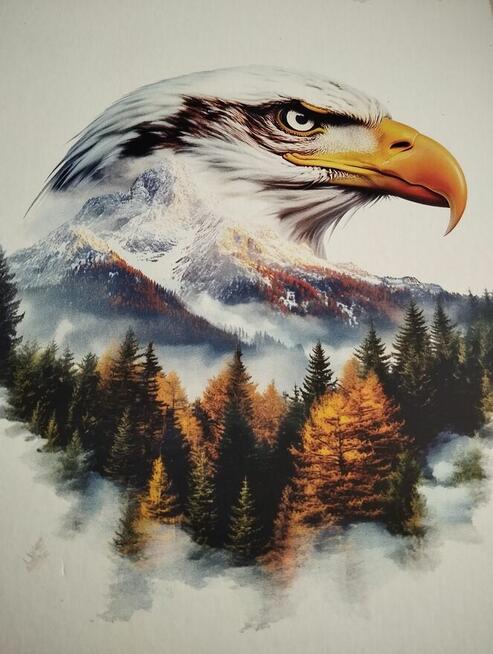 Oferta Druku Ściennego - Inwestycja w biznes