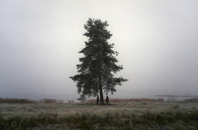 fotograf dla par lgbt i nie tylko