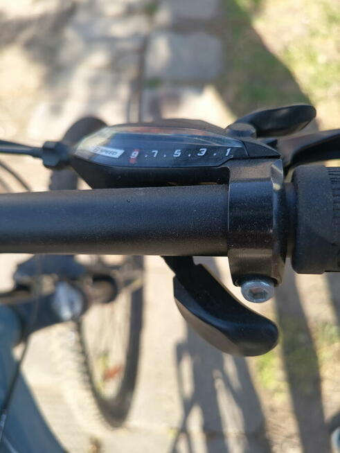 Rower shark 6.0