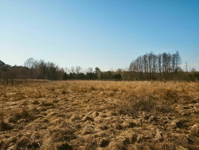 Twoja Wyspa na końcu drogi–4100m² dzikiej natury przy rzece