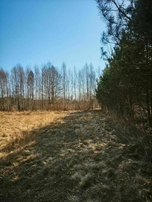 Twoja Wyspa na końcu drogi–4100m² dzikiej natury przy rzece