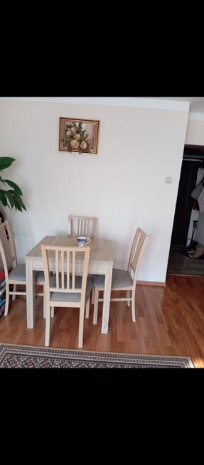 Mieszkanie /super lokalizacja/negocjacja ceny