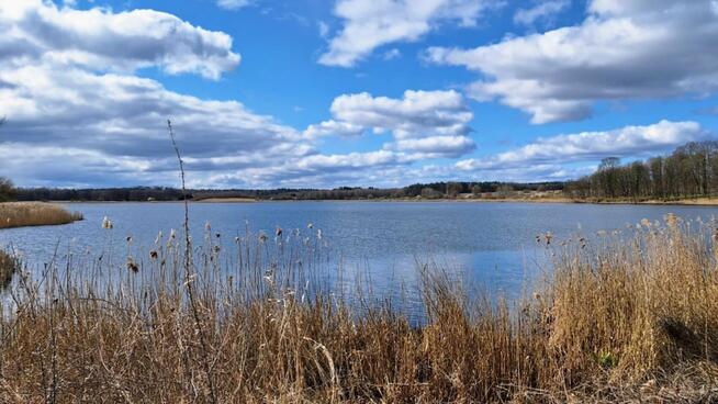 Dom Bytowo gm. Dobrzany