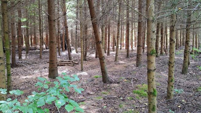 Działka Mielenko Drawskie gm. Drawsko Pomorskie