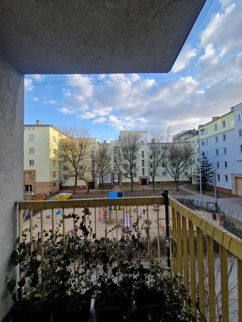 2 pokoje, 45m2 - Piątkowo, os. Zygmunta Starego