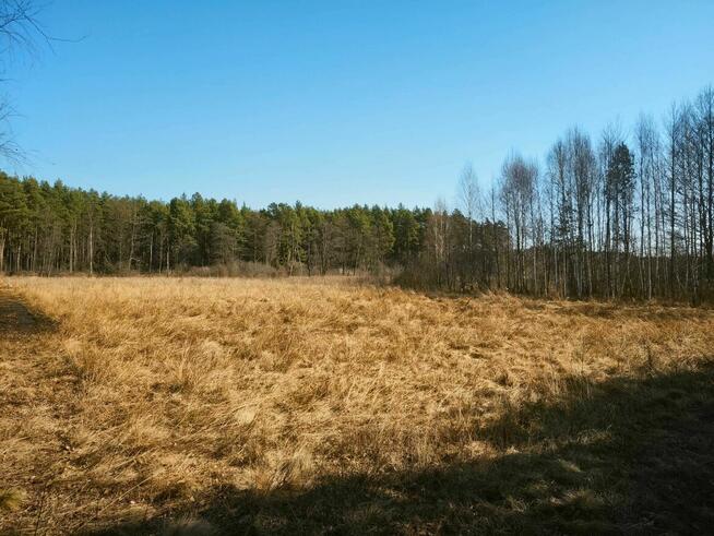 Twoja Wyspa na końcu drogi–4100m² dzikiej natury przy rzece