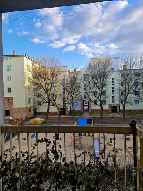 2 pokoje, 45m2 - Piątkowo, os. Zygmunta Starego