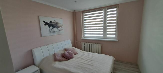 Mieszkanie Wodzisław Śląski