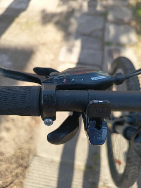 Rower shark 6.0