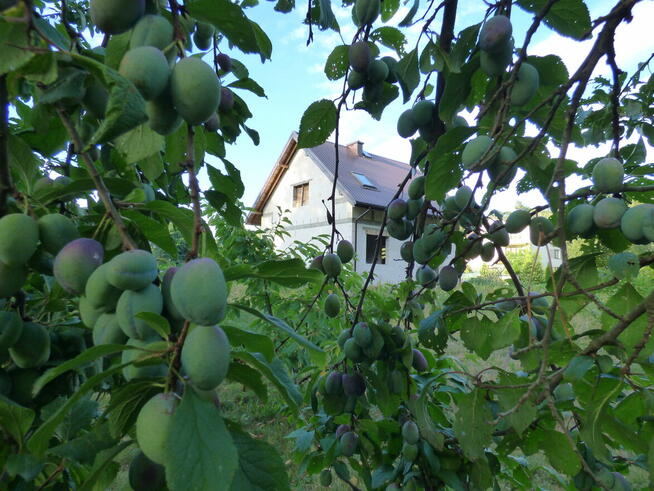 Dom do wykończenie na dużej działce 2394m, 70km od Warszawy
