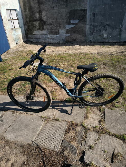 Rower shark 6.0