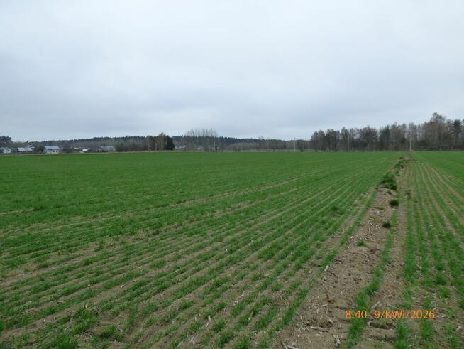 Teren 3 ha – Janów Lubelski | przy strefie inwestycyjnej