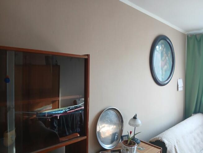 Sprzedam mieszkanie bez posrednika Gliwice Al. Majowa 14