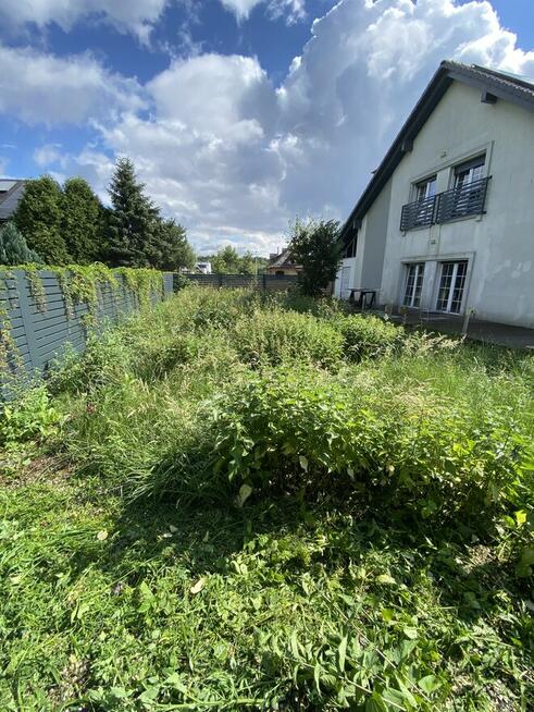 Wycinka podcinka drzew, pielęgnacja tuj, prace porządkowe