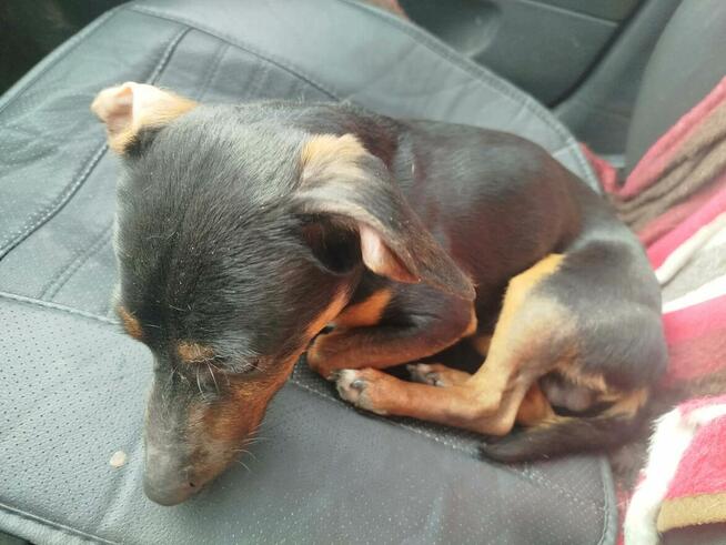 Cudowny młodziak nie miał łatwego życia odmień jego los