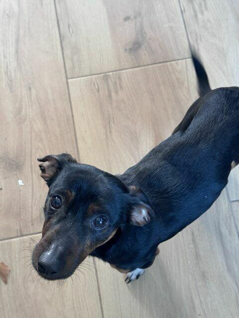 Cudowny młodziak nie miał łatwego życia odmień jego los