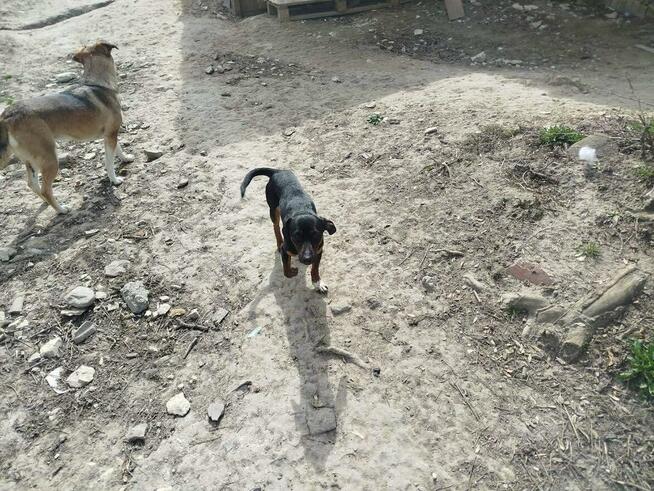 Cudowny młodziak nie miał łatwego życia odmień jego los