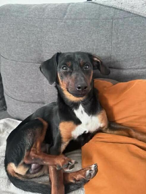 Cudowny młodziak nie miał łatwego życia odmień jego los