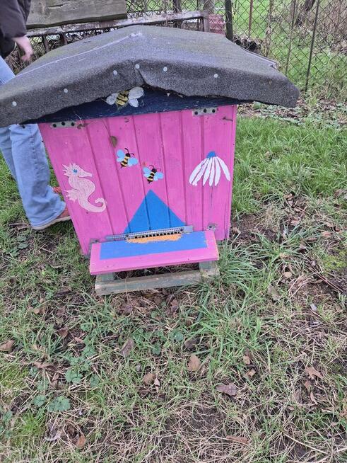 Syndyk sprzeda dwie pasieki - ule (35 szt. i 17 szt.)