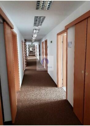 Lokal użytkowy Warszawa Śródmieście, Marszałkowska