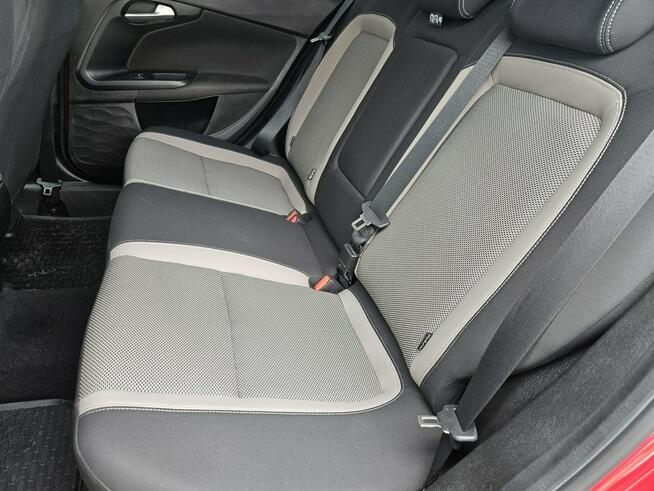 Fiat Tipo Nawigacja Serwis Polecam