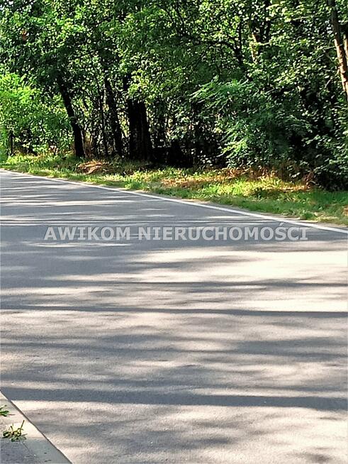 Działka leśna Książenice gm. Grodzisk Mazowiecki