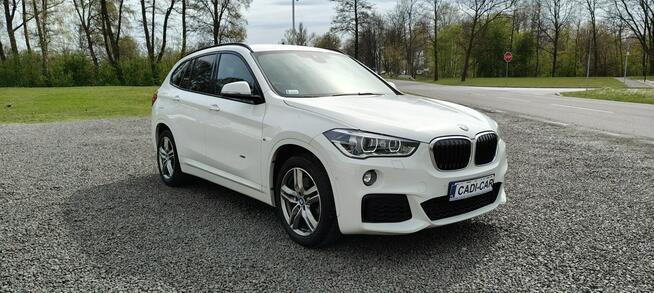 BMW X1 Krajowy, bezwypadkowy, drugi właściciel.