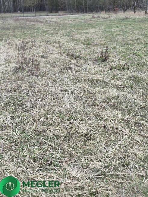 Działka niedaleko lasu wśród nowej zabudowy