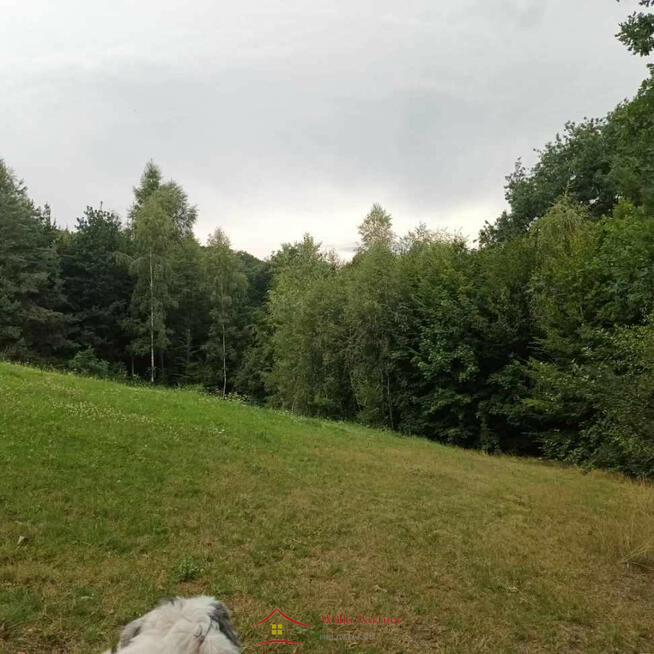 Sobolów, Wola Nieszkowska, działka 0,35ha+3a