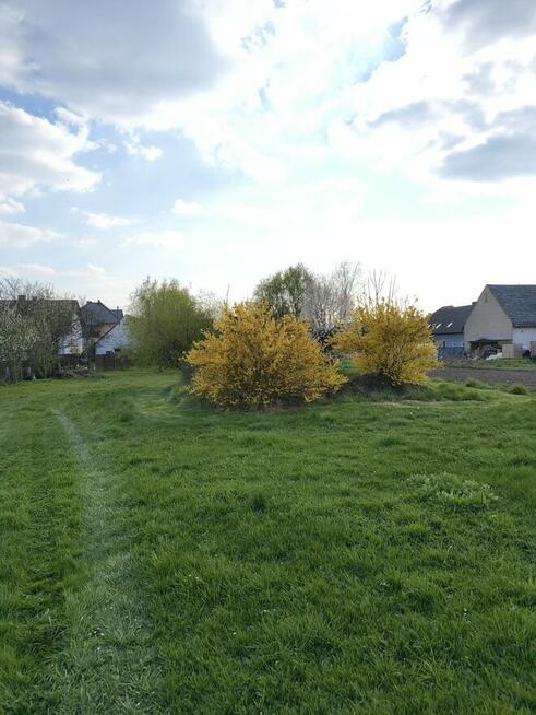 Dom na dużej działce, BEZ POŚREDNIKÓW