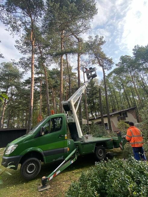 Wycinka podcinka drzew, pielęgnacja tuj, prace porządkowe