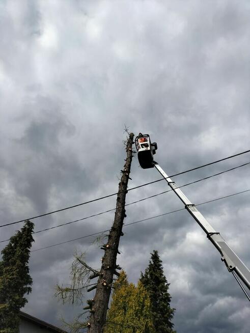 Wycinka podcinka drzew, pielęgnacja tuj, prace porządkowe
