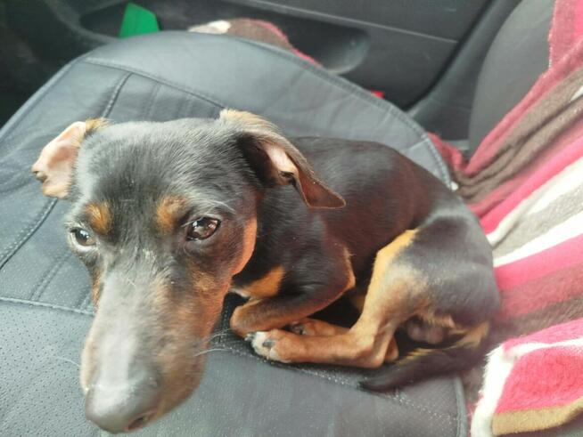 Cudowny młodziak nie miał łatwego życia odmień jego los