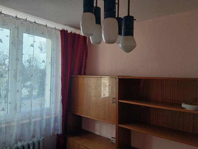 Sprzedam mieszkanie bez posrednika Gliwice Al. Majowa 14