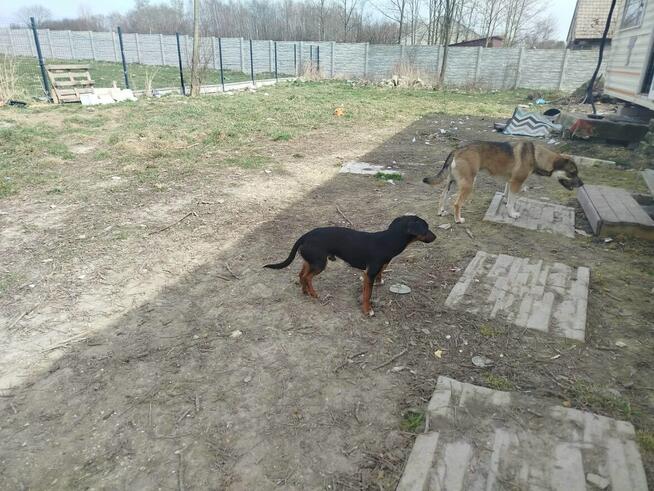 Cudowny młodziak nie miał łatwego życia odmień jego los