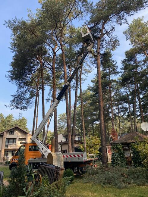 Wycinka podcinka drzew, pielęgnacja tuj, prace porządkowe