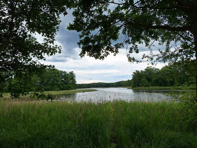 Mazury! Domek nad jeziorem z własną linią brzegową