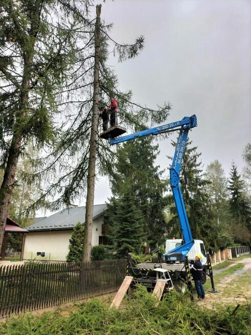Wycinka podcinka drzew, pielęgnacja tuj, prace porządkowe