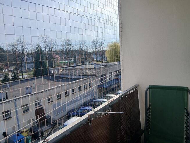 Sprzedam mieszkanie bez posrednika Gliwice Al. Majowa 14