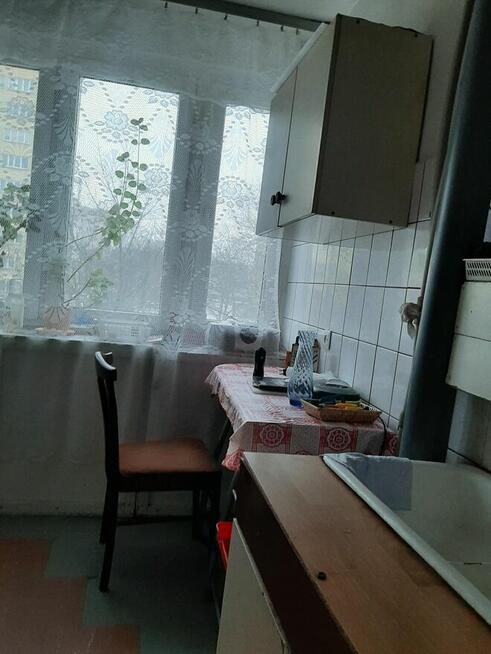 PŁOCK - 3 pokoje - 54,8 m² - 1. piętro - 385 000 PLN