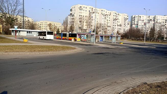 Lokal do wynajęcia