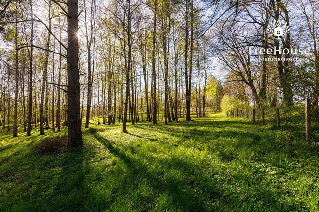 Działka z widokiem na jezioro