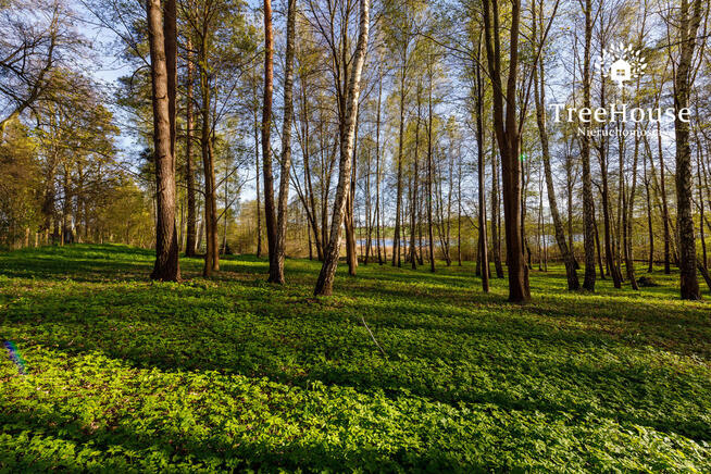 Działka z widokiem na jezioro