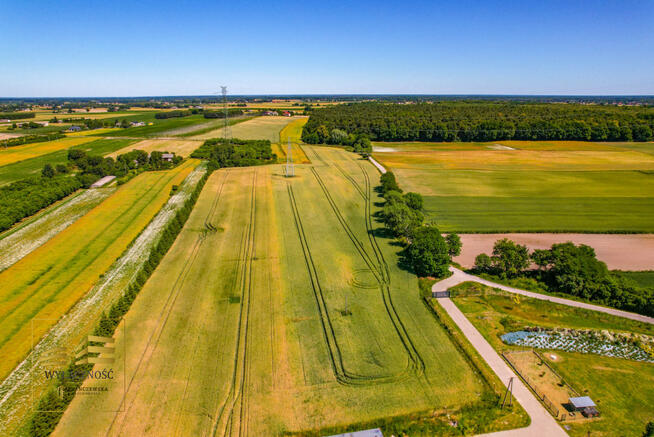 Działka inwestycyjna Witaniów gm. Łęczna,
