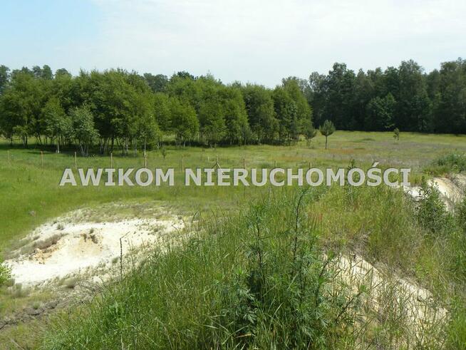 Działka Bolimów Wola Szydłowiecka
