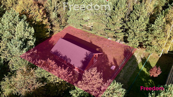 Wyjątkowy drewniany dom w leśnej okolicy