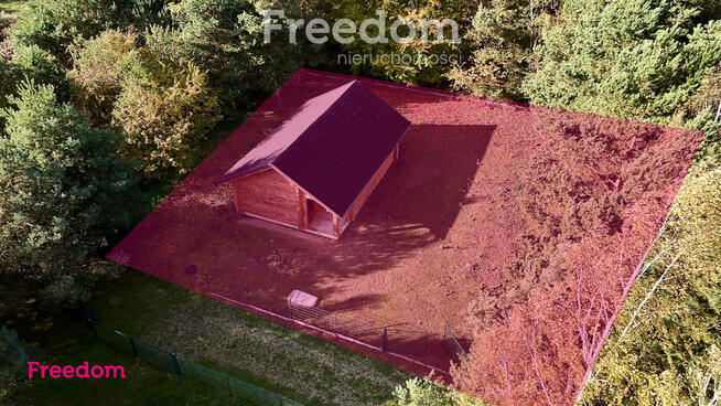 Wyjątkowy drewniany dom w leśnej okolicy