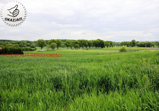 Działka budowlana Wierzbna gm. Żarów, Wierzbna