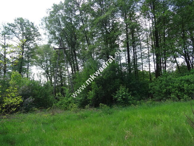 ⭐⭐⭐⭐⭐ Dwie działki 1900 + 3600m2 ⭐⭐⭐⭐⭐